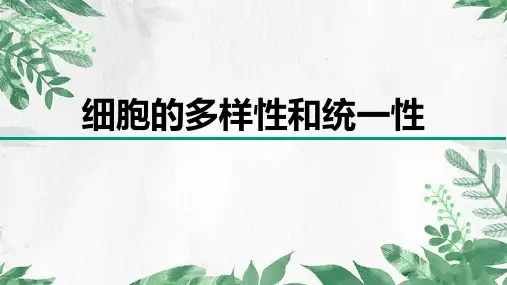 第1章第2节 细胞的多样性和统一性-高一生物课件(人教版2019必修1)