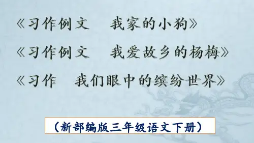 部编版三年级《习作例文 我家的小狗》《习作例文 我爱故乡的杨梅》《习作  我们眼中的缤纷世界》PPT新课件