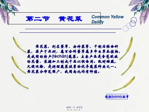 02第二节  黄花菜(共13张PPT)