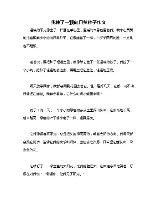 我种了一颗向日葵种子作文