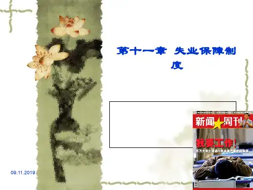 失业保障制度范本(PPT 43页)
