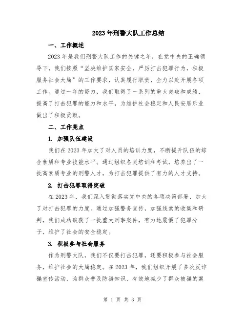 2023年刑警大队工作总结