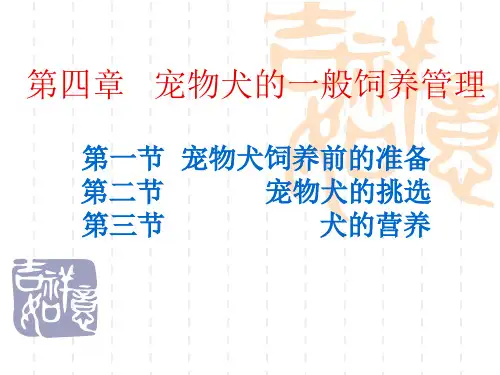 第四章  宠物犬的一般饲养管理