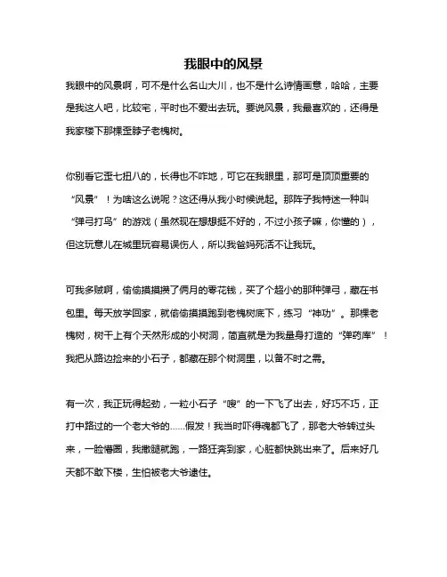 作文《我眼中的风景》