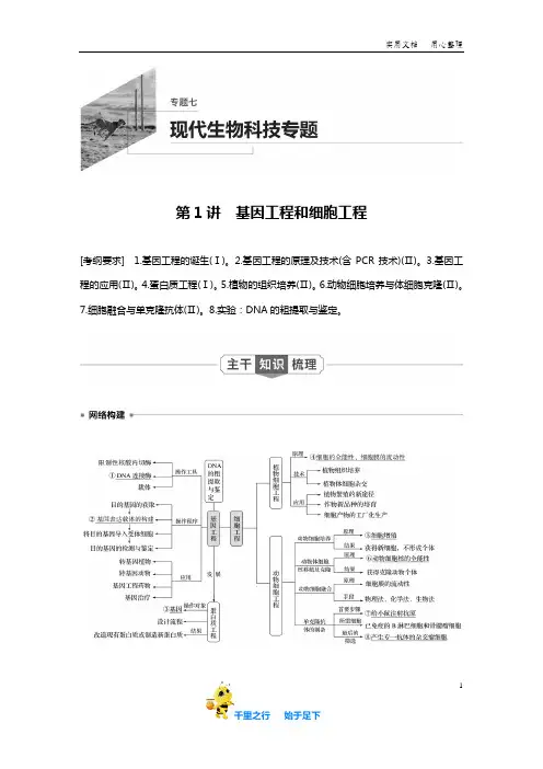 新高考高中生物核心专题突破：基因工程和细胞工程