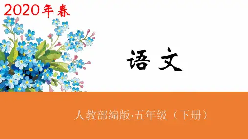 部编版金字塔ppt教学课件