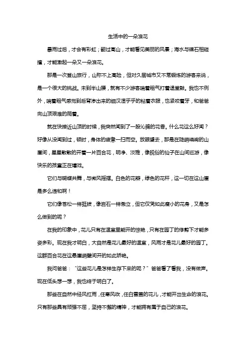 生活中的一朵浪花