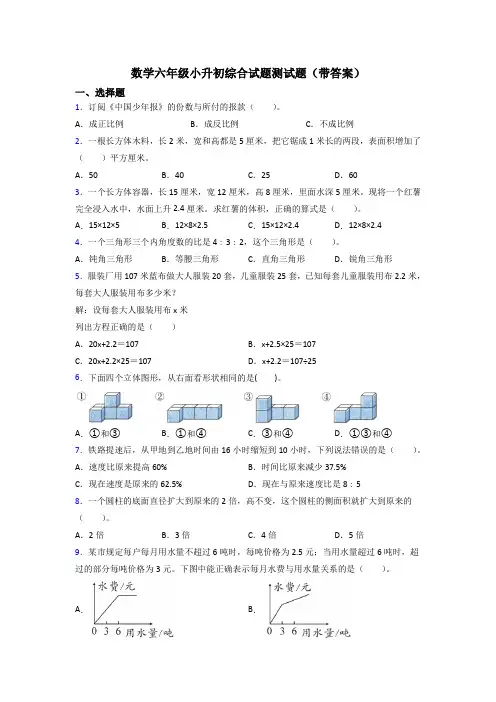 数学六年级小升初综合试题测试题(带答案)