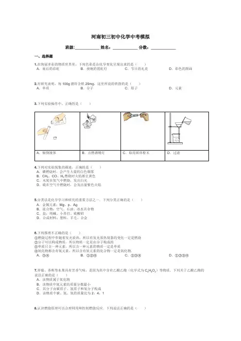 河南初三初中化学中考模拟带答案解析
