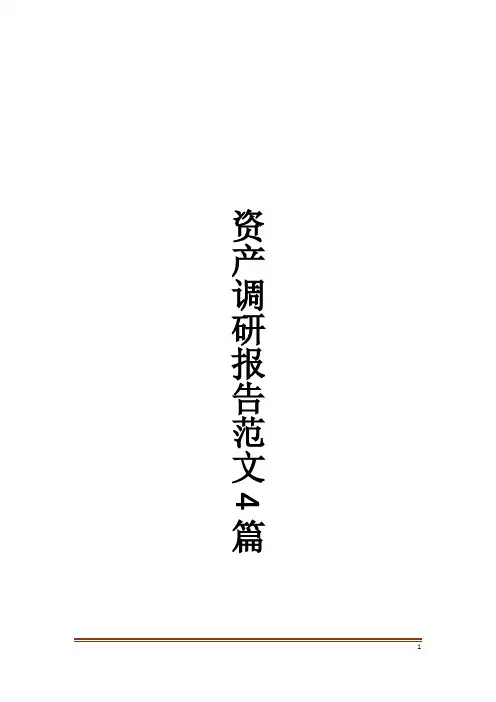 资产调研报告范文4篇