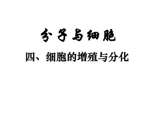 高中生物—细胞的增殖与分化
