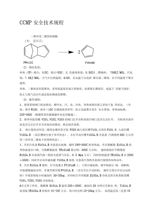 CCMP工艺安全技术规程资料
