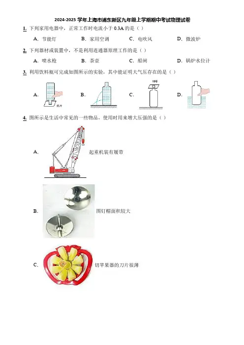 2024-2025学年上海市浦东新区九年级上学期期中考试物理试卷