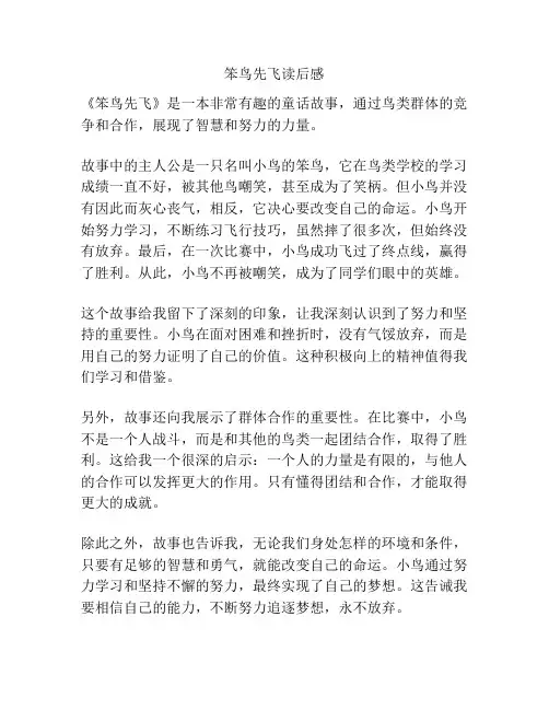 笨鸟先飞读后感