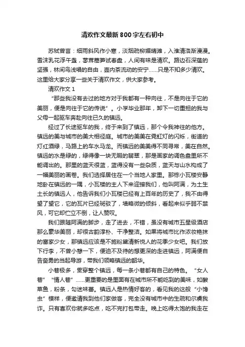 清欢作文最新800字左右初中