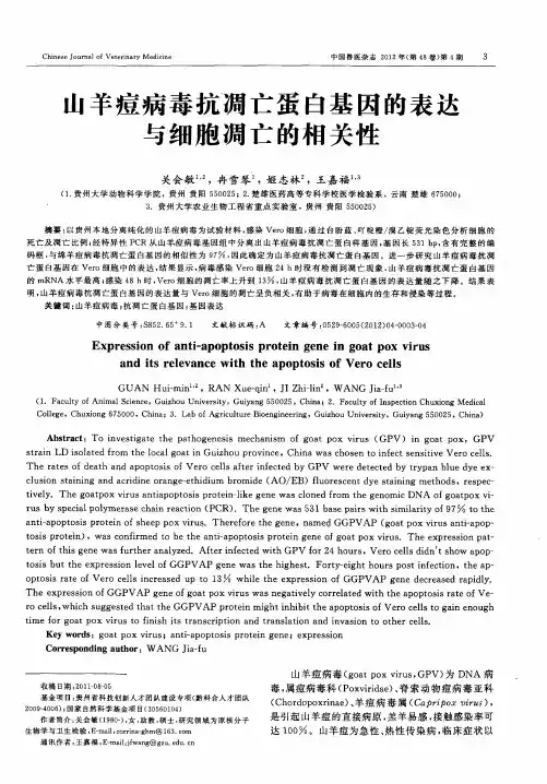 山羊痘病毒抗凋亡蛋白基因的表达与细胞凋亡的相关性