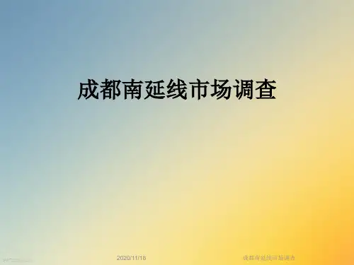 成都南延线市场调查