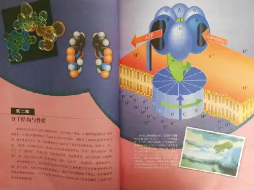 第二章 第二节 分子的立体构型