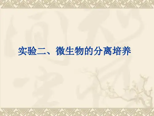 生化大实验生技实验2
