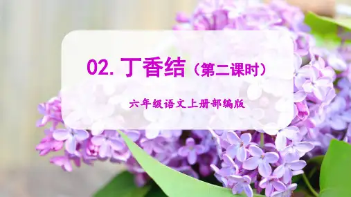 人教部编版六年级语文上册第2课《丁香结》第二课时教学课件