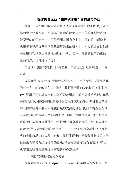 探讨民营企业“预算软约束”的内涵与外延