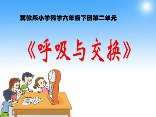 六年级下册科学《6 呼吸与交换》课件 冀人版