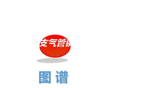 支气管镜图谱立体解读 课件