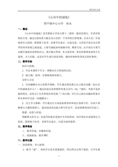 六下17《山谷中的谜底》
