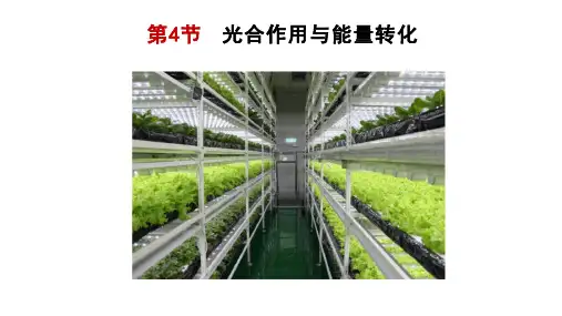 光合作用与能量转化课件高一上学期生物人教版必修1(1)