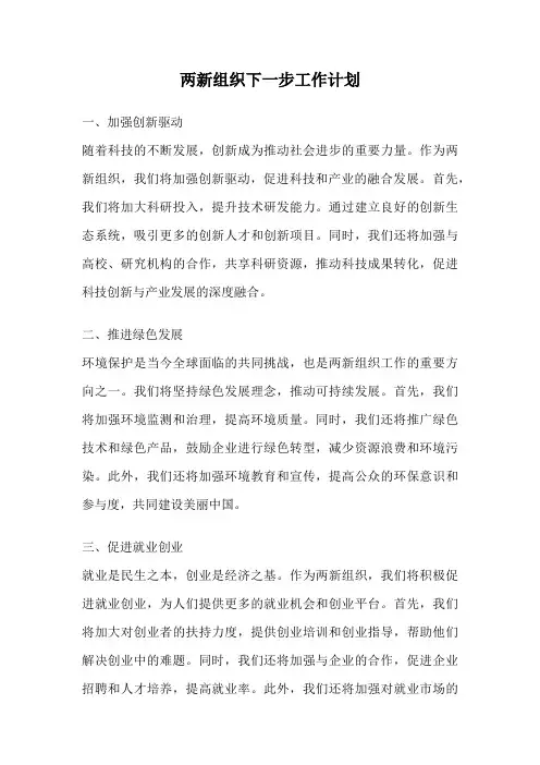 两新组织下一步工作计划