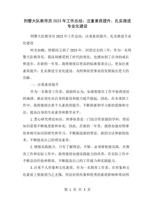 刑警大队教导员2023年工作总结：注重素质提升、扎实推进专业化建设