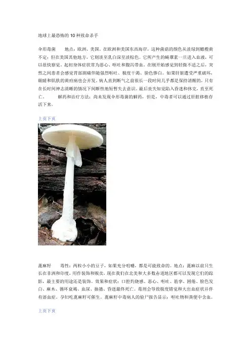 地球上最恐怖的10种致命杀手
