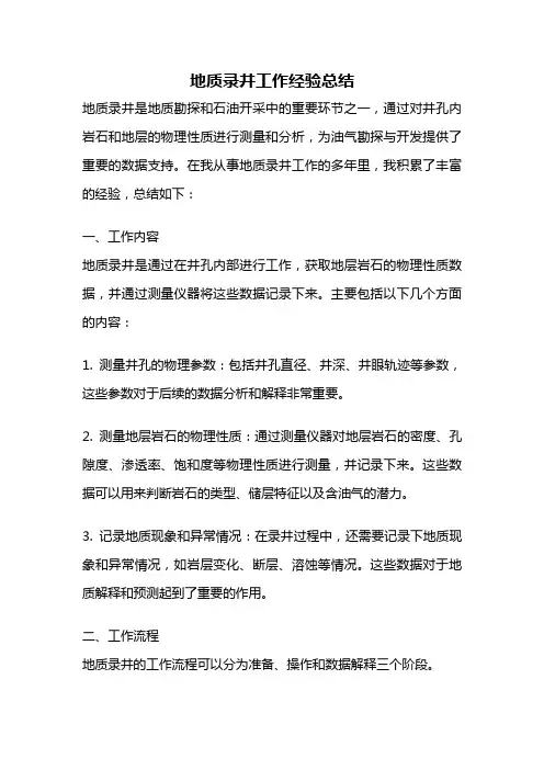 地质录井工作经验总结