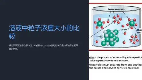 溶液中粒子浓度大小的比较课件