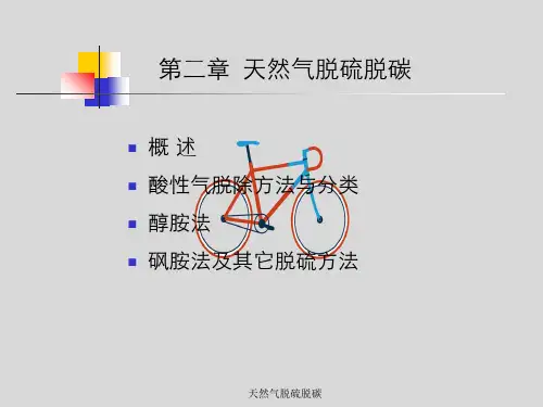 天然气脱硫脱碳