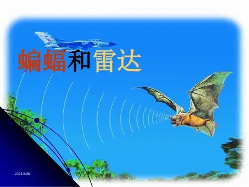 人教部编版四年级上册语文《蝙蝠和雷达》课件