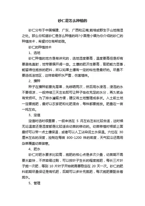 砂仁是怎么种植的
