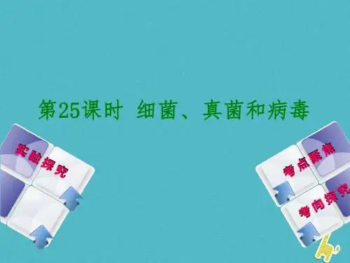 【北京专版】2018年中考方案(25)细菌、真菌和病毒课件(含答案)