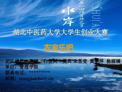 创业大赛PPT展示