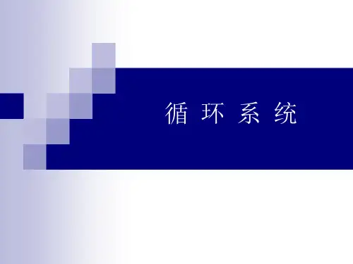 组织胚胎学之循环系统