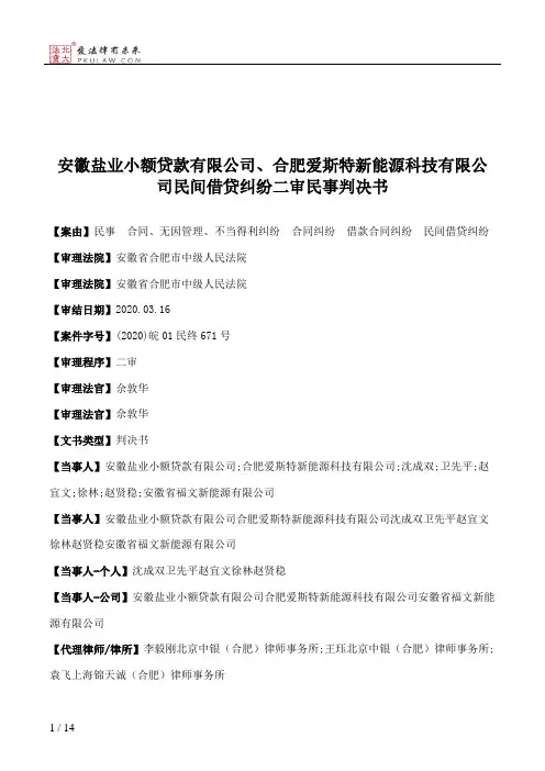 安徽盐业小额贷款有限公司、合肥爱斯特新能源科技有限公司民间借贷纠纷二审民事判决书