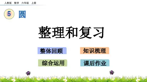 六年级上册数学课件-5.5整理和复习