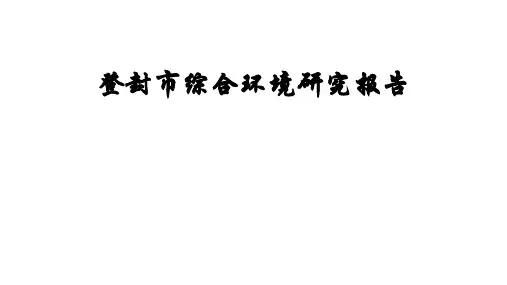 登封城市调研报告 