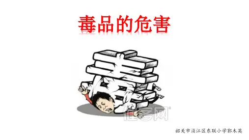 毒品的危害