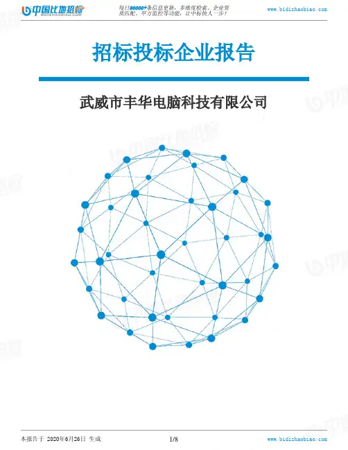 武威市丰华电脑科技有限公司-招投标数据分析报告