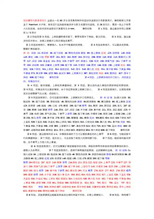 颅底解剖与影像学对照