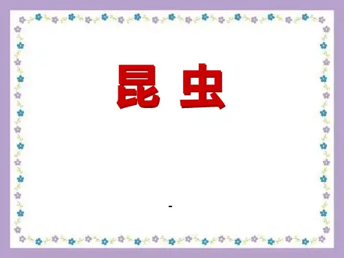202X春湘教版科学三下3.4《昆虫》ppt课件