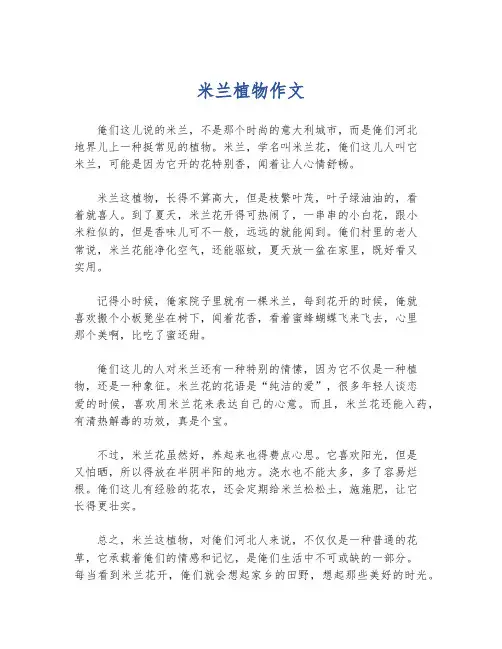 米兰植物作文