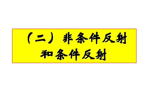非条件反射和条件反射
