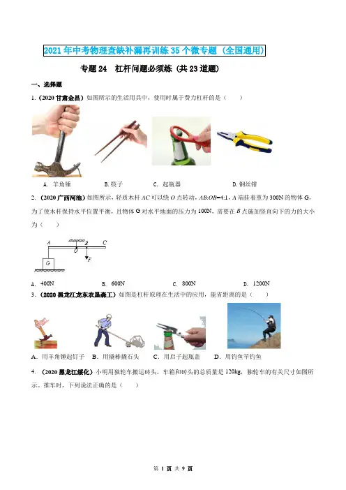 2021年中考物理专题24  杠杆问题必须练(原卷版)